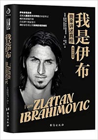 书籍 我是伊布的封面