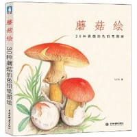书籍 蘑菇绘的封面