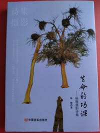 生命的功课——杨珊摄影诗集