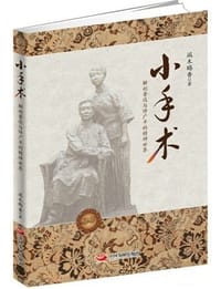 书籍 小手术的封面