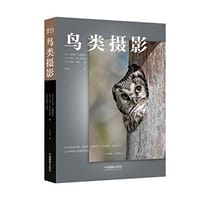 鸟类摄影 - 马库斯·瓦雷斯沃