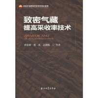 致密气藏提高采收率技术