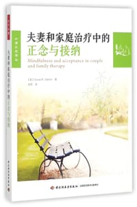 书籍 夫妻和家庭治疗中的正念与接纳/水滴正念译丛的封面