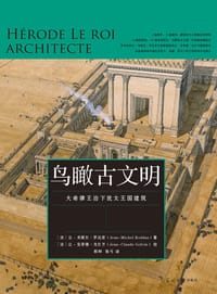 鸟瞰古文明 - ［法］ 让 - 米歇尔·罗达兹 著