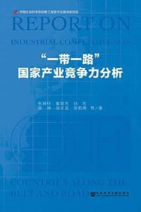 “一带一路”国家产业竞争力分析（全2册）