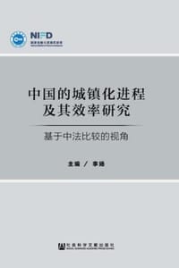 书籍 中国的城镇化进程及其效率研究的封面