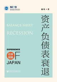 资产负债表衰退 - 谢玮
