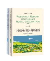中国乡村振兴调研报告（2018—2019）（套装全2册）