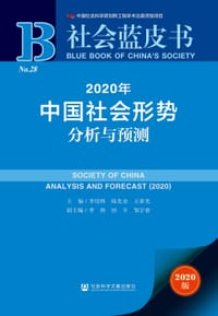 书籍 社会蓝皮书 2020年中国社会形势分析与预测的封面