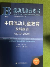 流动儿童蓝皮书：中国流动儿童教育发展报告（2019-2020）