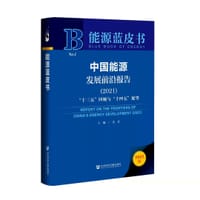 中国能源发展前沿报告（2021） - 史丹