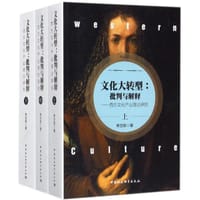 书籍 文化大转型：批判与解释的封面