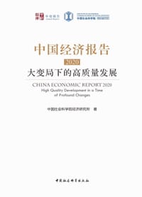 中国经济报告2020：大变局下的高质量发展