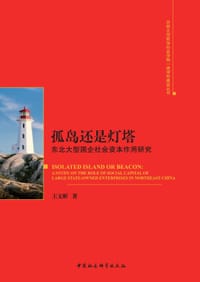 书籍 孤岛还是灯塔的封面