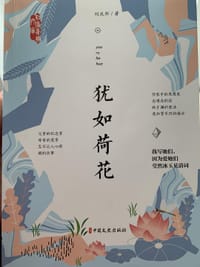 犹如荷花