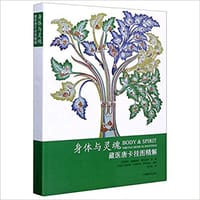 身体与灵魂