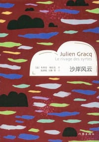 书籍 沙岸风云的封面