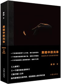 书籍 黑暗中的光体的封面