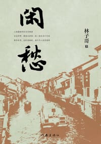 闲愁 - 林子哥