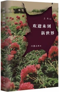 欢迎来到新世界 - 王米
