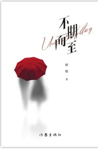 书籍 不期而至的封面