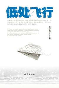 书籍 低处飞行的封面