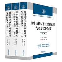 刑事诉讼法条文理解适用与司法实务全书（三卷本）