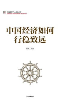 书籍 中国经济如何行稳致远的封面