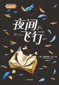 书籍 夜间飞行的封面