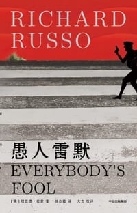 书籍 愚人雷默的封面