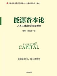 书籍 能源资本论的封面