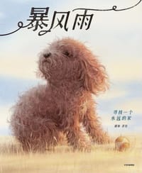 暴风雨