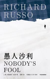 书籍 愚人沙利的封面