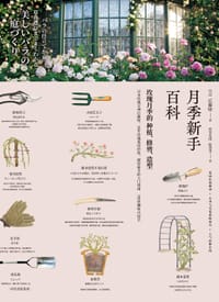 月季新手百科