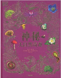 DK神秘大自然奇观 - [英]本·霍尔