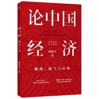 书籍 论中国经济：挑战、底气与后劲的封面