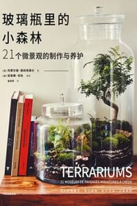 玻璃瓶里的小森林
