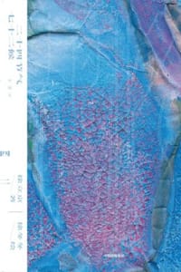 书籍 二十四节气七十二候的封面