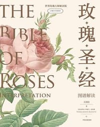 《玫瑰圣经》图谱解读 - 王国良 著