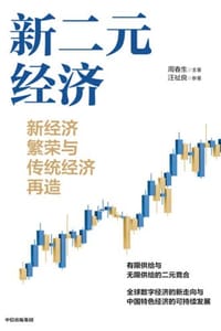 书籍 新二元经济 的封面