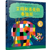 书籍 艾玛和丢失的泰迪熊的封面