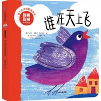 谁在天上飞