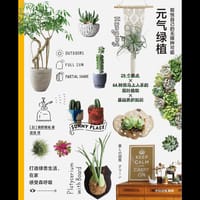 元气绿植