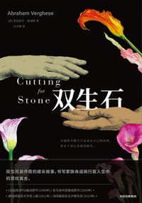 书籍 双生石的封面