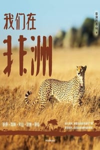 我们在非洲 - 非洲的青山