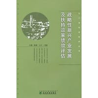 战略性新兴产业发展及扶持政策绩效评估