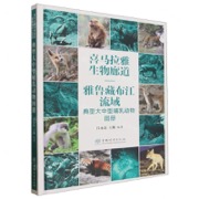 喜马拉雅生物廊道 雅鲁藏布江流域