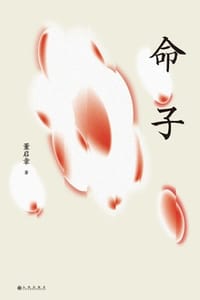 命子 - 董启章