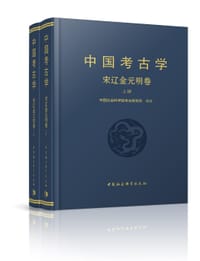 中国考古学