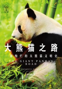 大熊猫之路